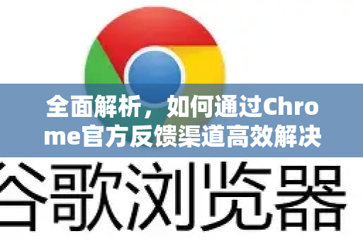 全面解析，如何通过Chrome官方反馈渠道高效解决问题