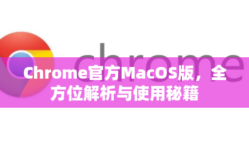 Chrome官方MacOS版，全方位解析与使用秘籍