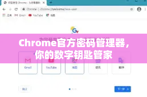 Chrome官方密码管理器，你的数字钥匙管家