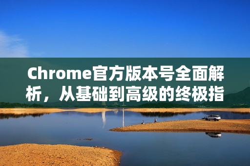 Chrome官方版本号全面解析，从基础到高级的终极指南