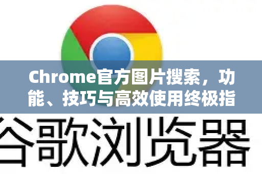 Chrome官方图片搜索，功能、技巧与高效使用终极指南