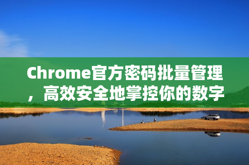 Chrome官方密码批量管理，高效安全地掌控你的数字身份-第1张图片-谷歌浏览器官网下载|Google Chrome2026最新官方版