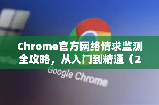 Chrome官方网络请求监测全攻略，从入门到精通（2025最新版）-第1张图片-谷歌浏览器官网下载|Google Chrome2026最新官方版