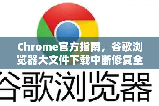 Chrome官方指南，谷歌浏览器大文件下载中断修复全攻略