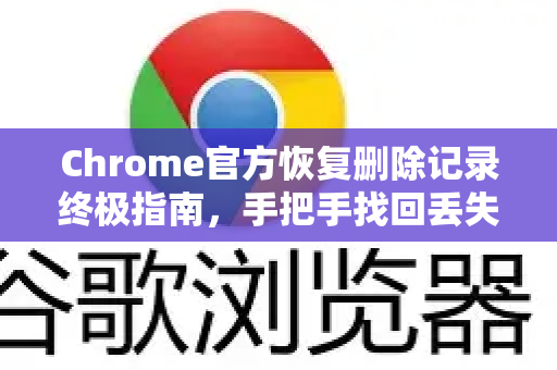 Chrome官方恢复删除记录终极指南，手把手找回丢失的浏览历史-第1张图片-谷歌浏览器官网下载|Google Chrome2026最新官方版