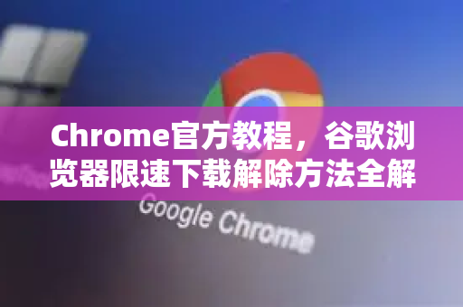 Chrome官方教程，谷歌浏览器限速下载解除方法全解析