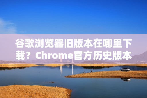 谷歌浏览器旧版本在哪里下载？Chrome官方历史版本获取全攻略