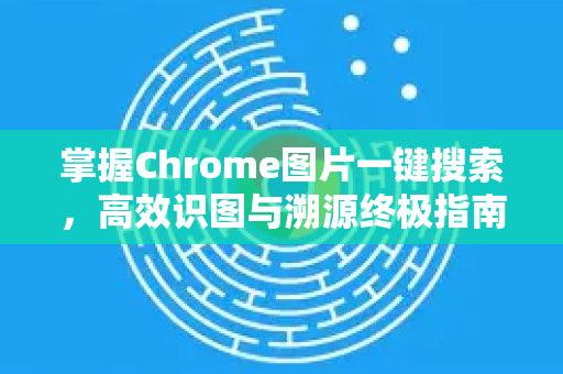 掌握Chrome图片一键搜索，高效识图与溯源终极指南