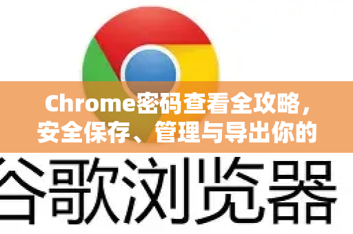 Chrome密码查看全攻略，安全保存、管理与导出你的登录凭证