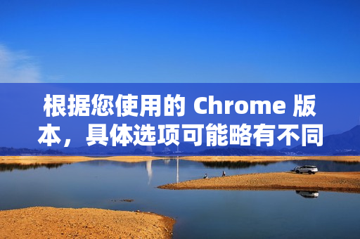 根据您使用的 Chrome 版本，具体选项可能略有不同。以下是详细的开启和设置方法