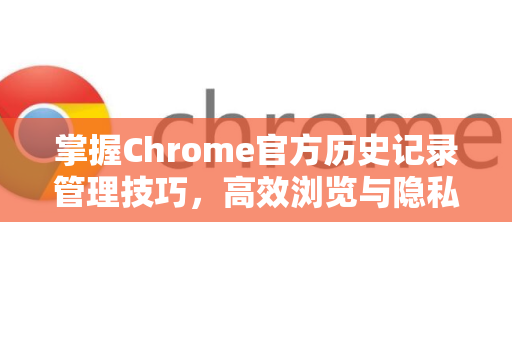 掌握Chrome官方历史记录管理技巧，高效浏览与隐私保护全攻略-第1张图片-谷歌浏览器官网下载|Google Chrome2026最新官方版
