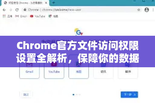 Chrome官方文件访问权限设置全解析，保障你的数据安全