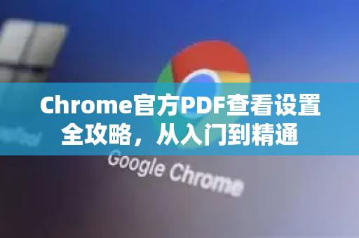 Chrome官方PDF查看设置全攻略，从入门到精通