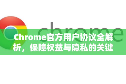 Chrome官方用户协议全解析，保障权益与隐私的关键指南