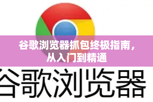 谷歌浏览器抓包终极指南，从入门到精通